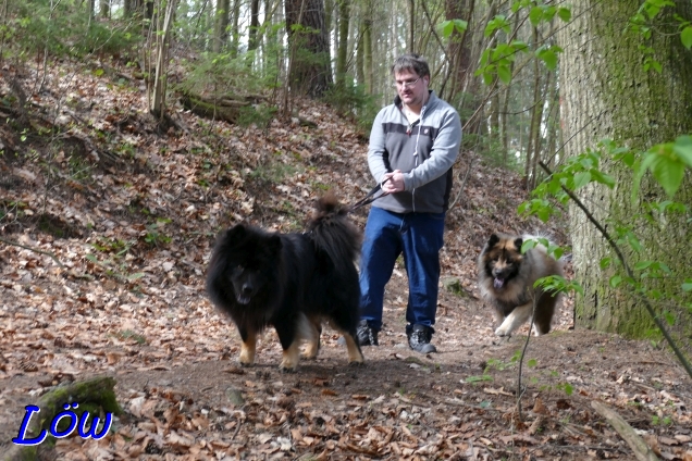 1.4.2024 - Durch den Wald